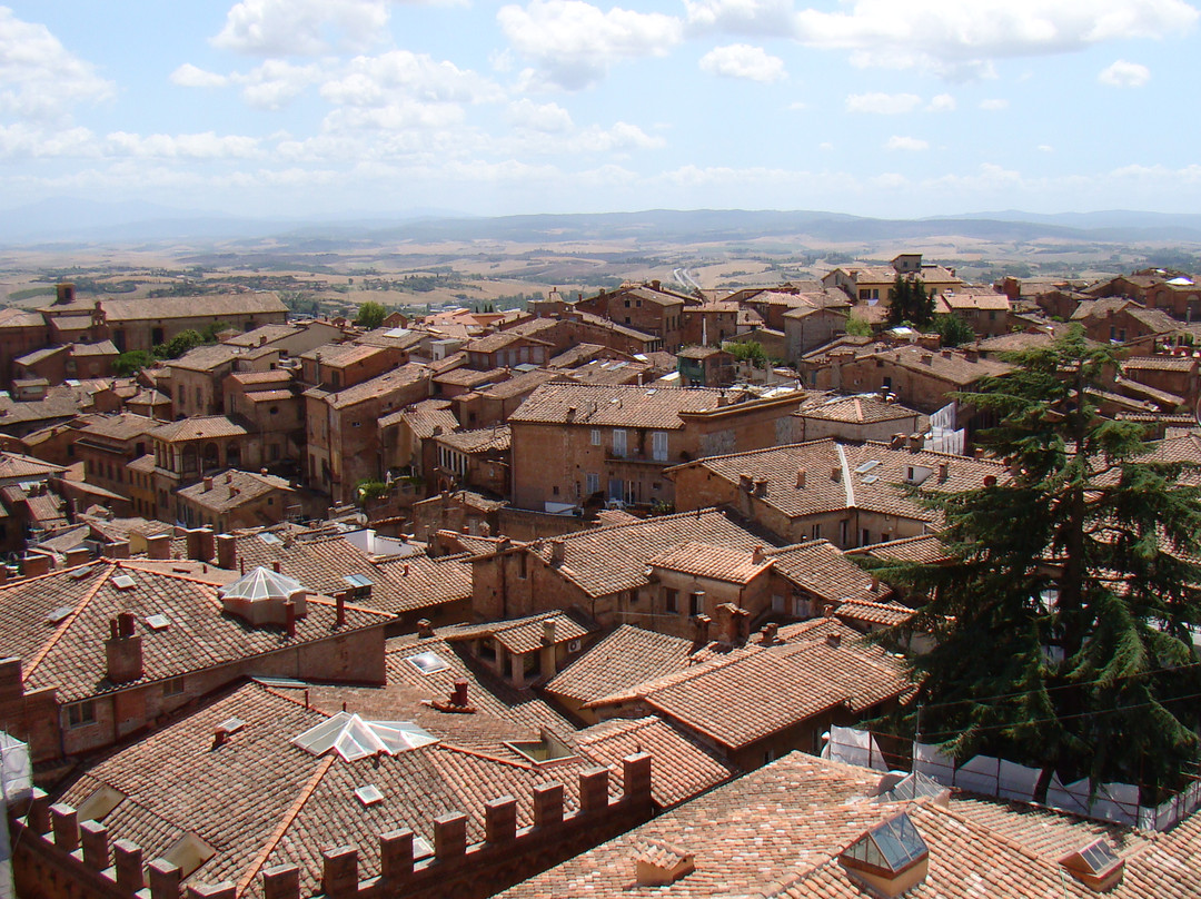 Museo dell'Opera Metropolitana-锡耶纳必去景点