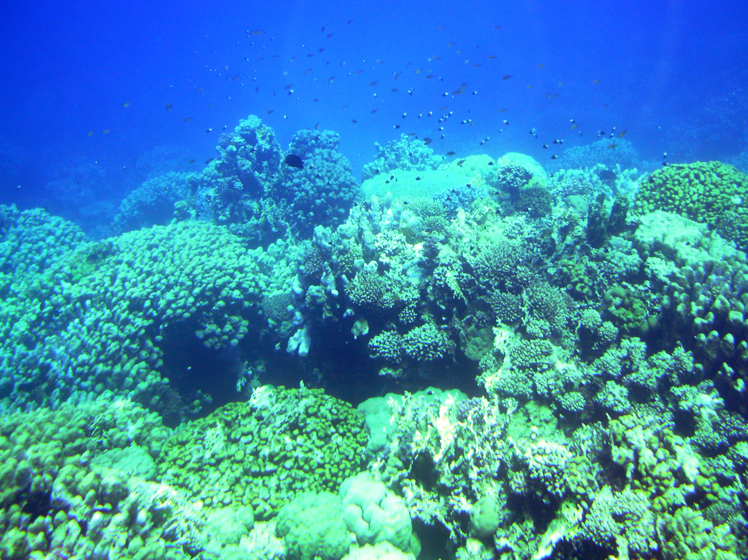 Royal Sea Scope-马萨阿拉姆必去景点