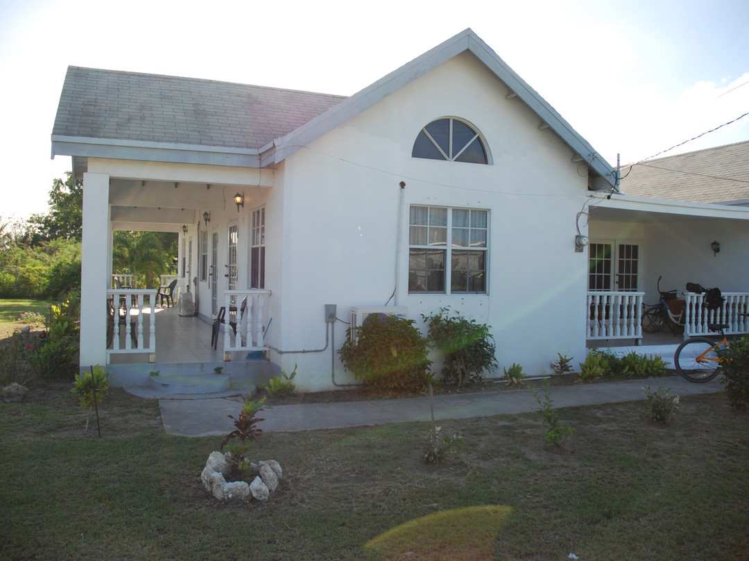 Palm Tree Guest House主图