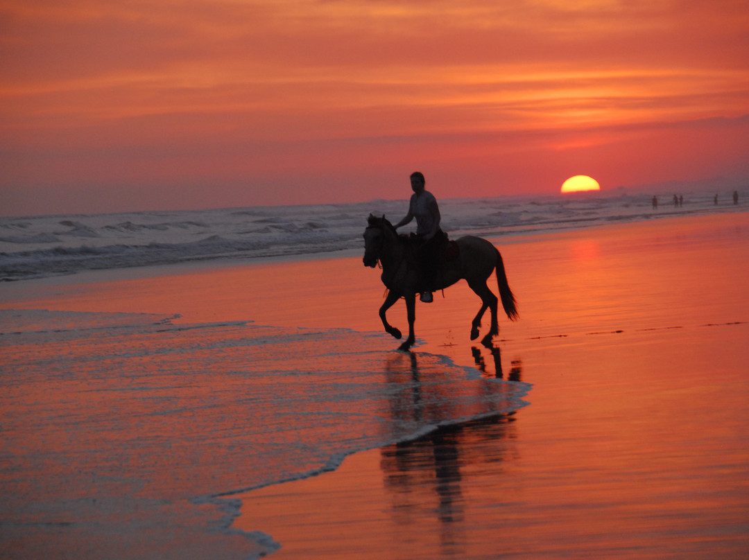 The Riding Adventure景点图片