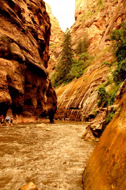 Clear Creek Overlook-锡安国家公园必去景点