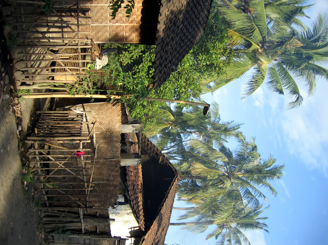 Rosa's Ecolodge