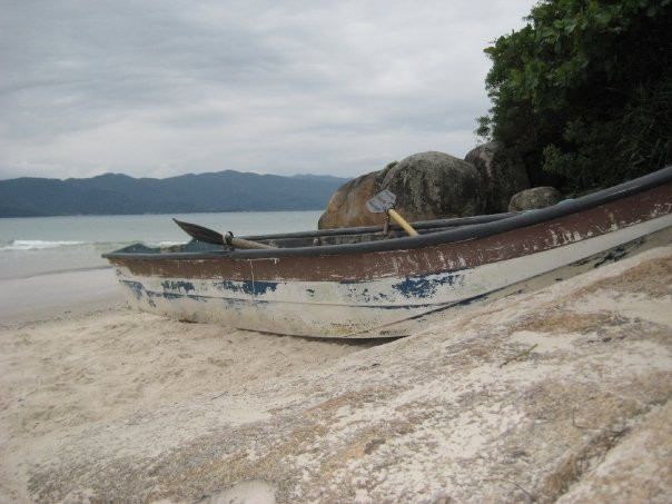Praia do Forte-弗洛里亚诺波利斯必去景点