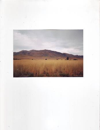 羚羊岛州立公园-Syracuse必去景点