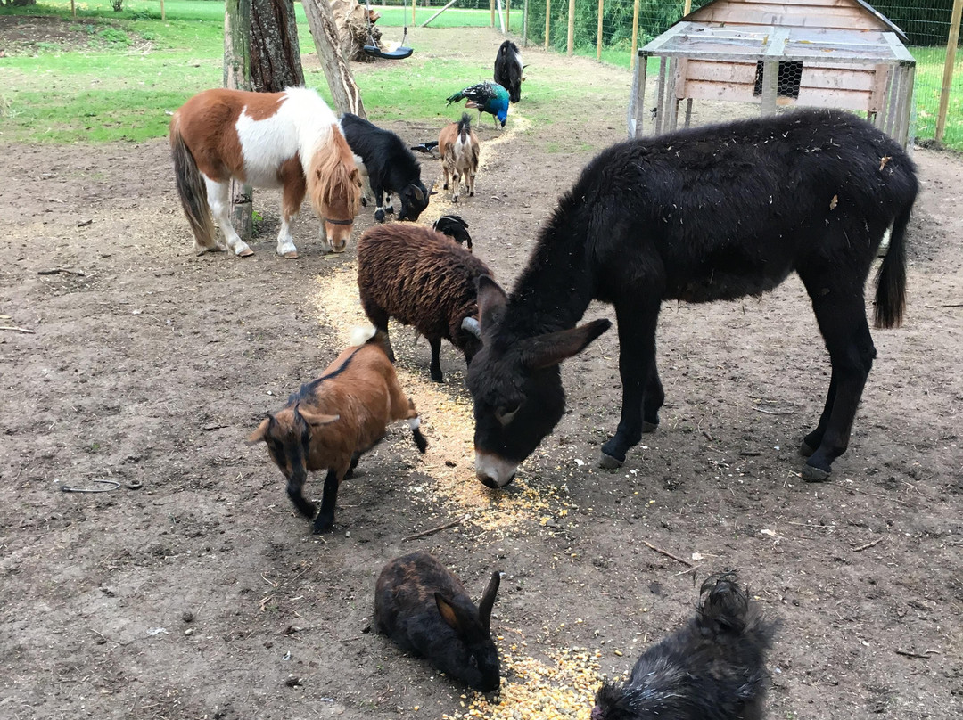 Agri'KIDS景点图片