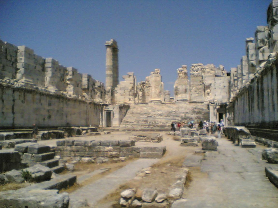 Temple of Apollo景点图片