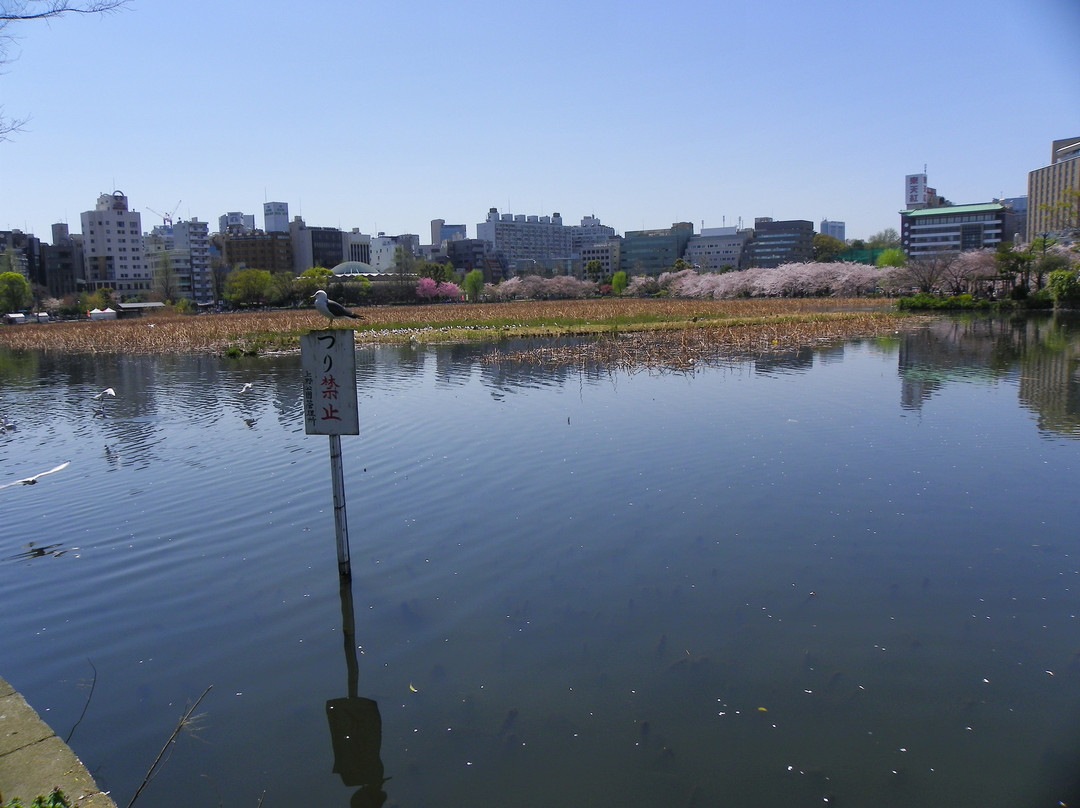 上野公园-Uenokoen必去景点