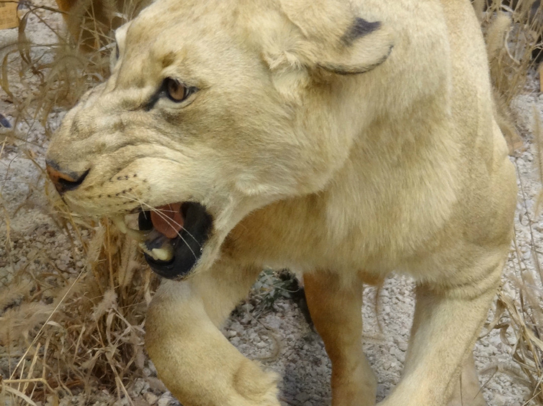 Cabela's-Richfield必去景点