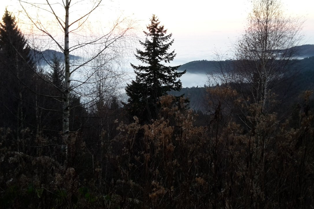 Lauf酒店住宿-Plattig