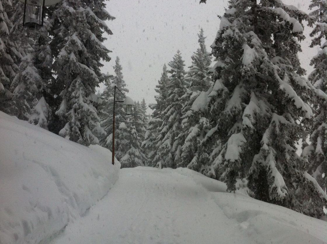 Chalet Stelvio