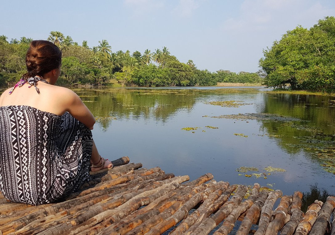 The Backwaters主图