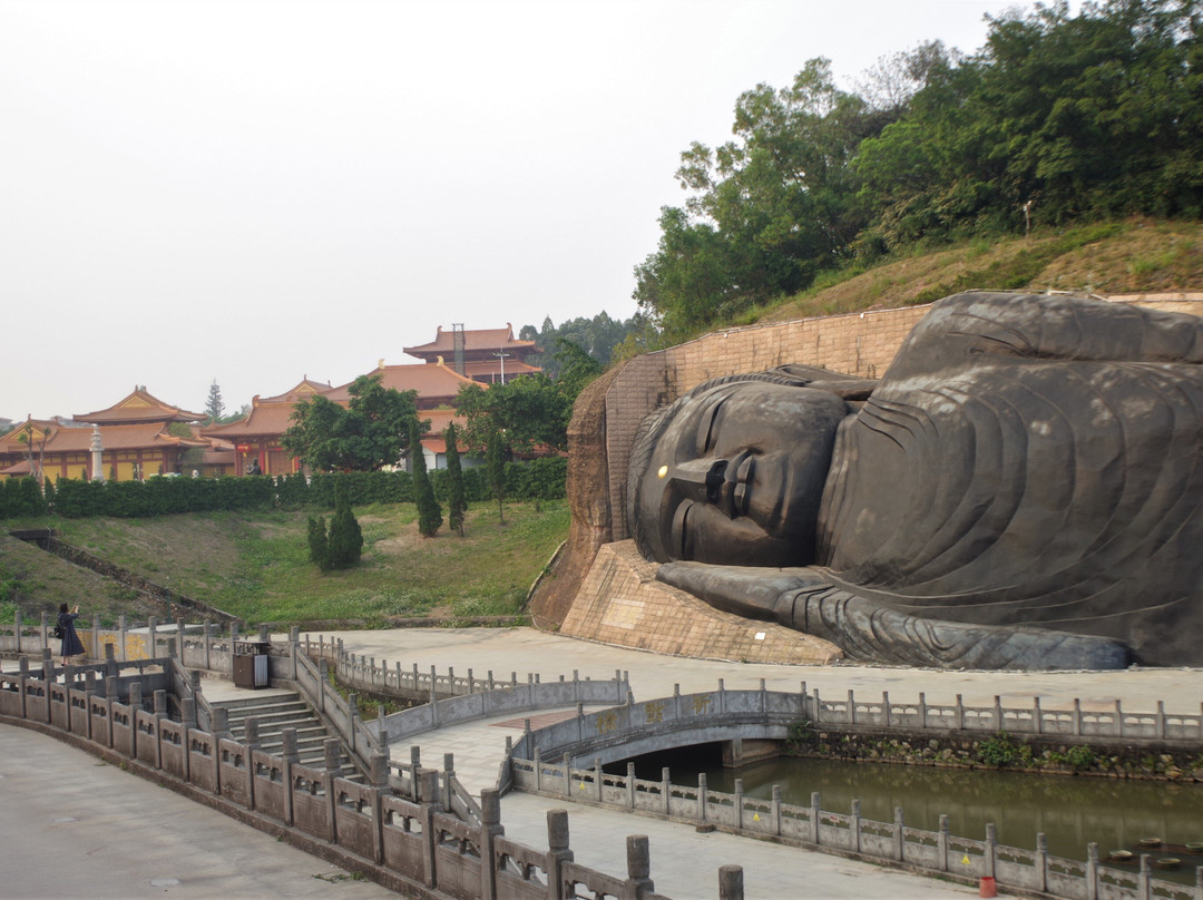 三水森林公园-佛山市必去景点