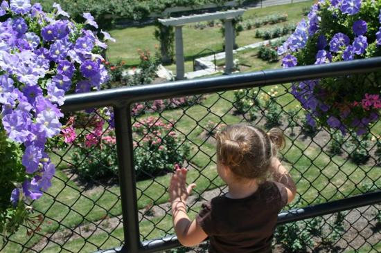 Hershey Gardens-好时镇必去景点