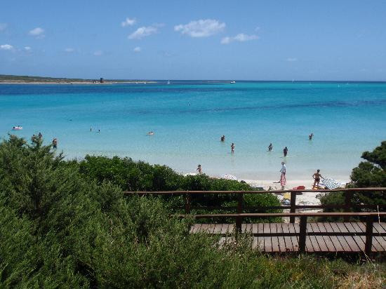 La Pelosa Beach-斯廷蒂诺必去景点