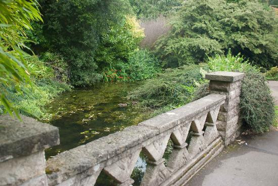 Botanical Gardens at Victoria Park-巴斯必去景点