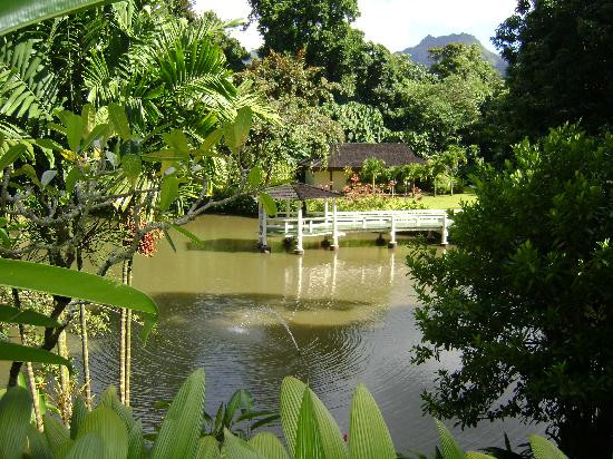 火玛卢霞植物园-卡内奥赫必去景点