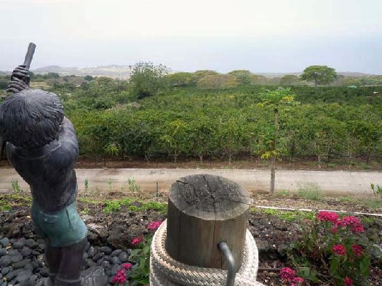 科纳杰咖啡-基亚拉凯库亚必去景点