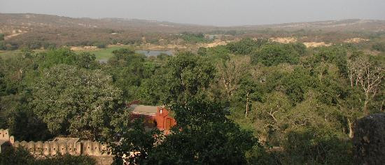 Ranthambore National Park景点图片