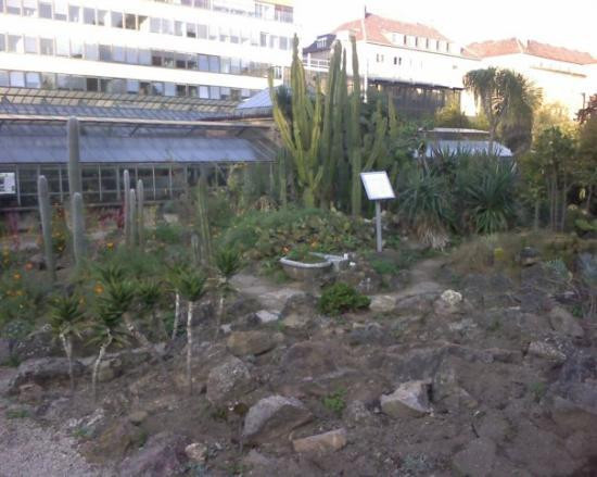 Botanischer Garten (Botanical Garden of the University of Vienna)-维也纳必去景点