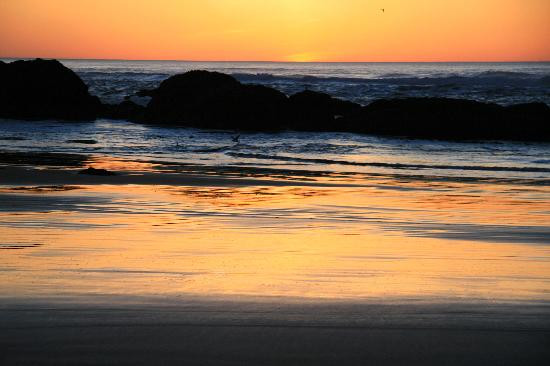 Seal Rock State Park景点图片