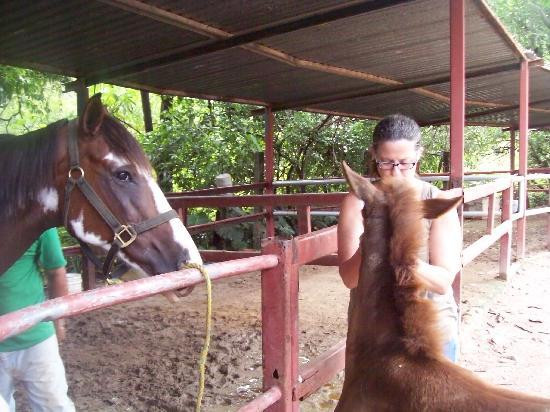 Rancho El Charro-瓦拉塔港必去景点