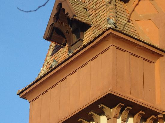 Villa Normandy-马德普拉塔必去景点