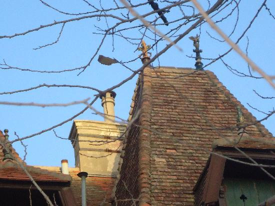 Villa Normandy-马德普拉塔必去景点