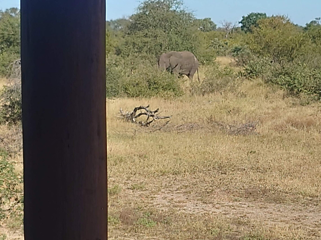 nThambo Tree Camp主图