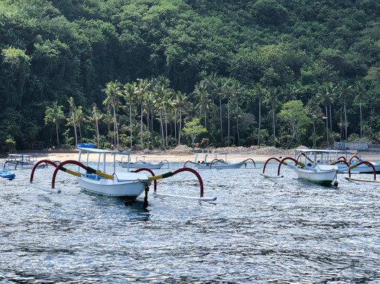 Bali Aqua Diving-沙努尔必去景点