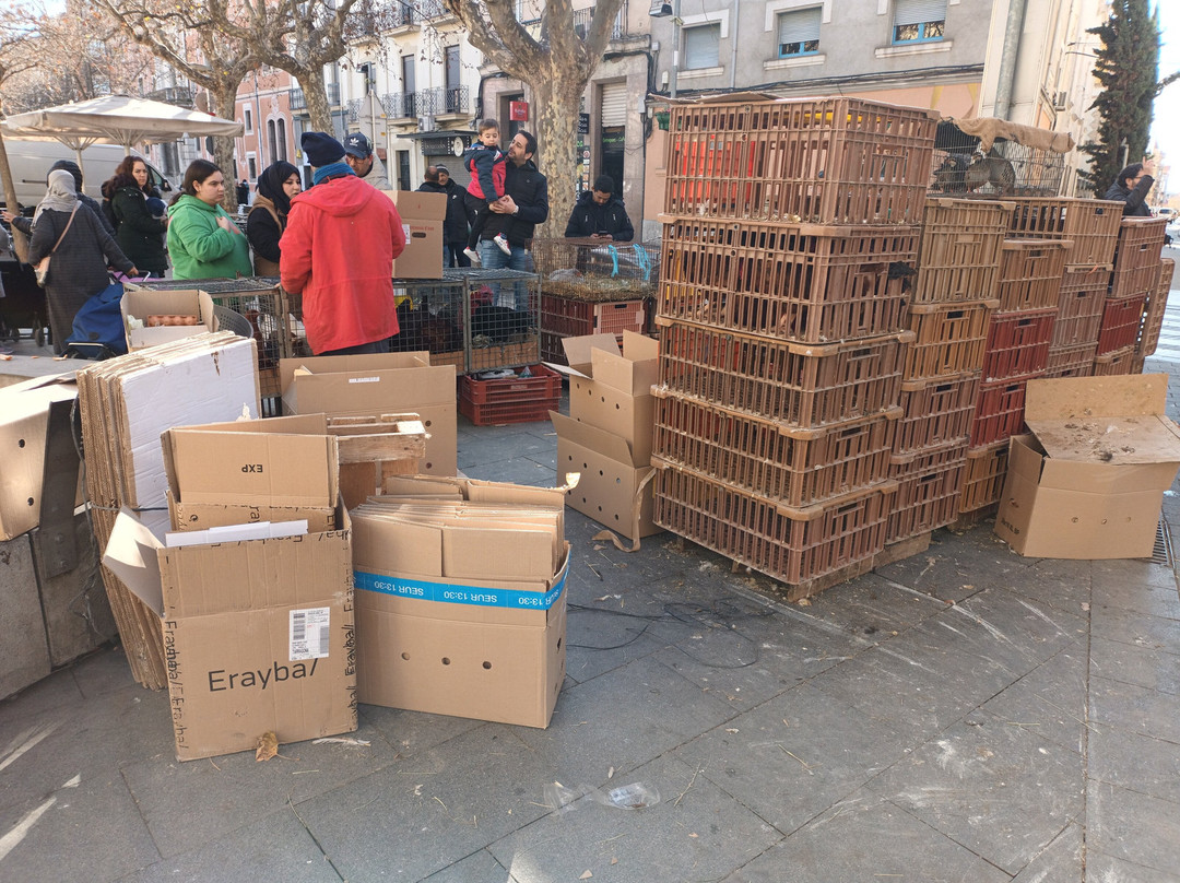 Ajuntament de Vilafranca del Penedes景点图片