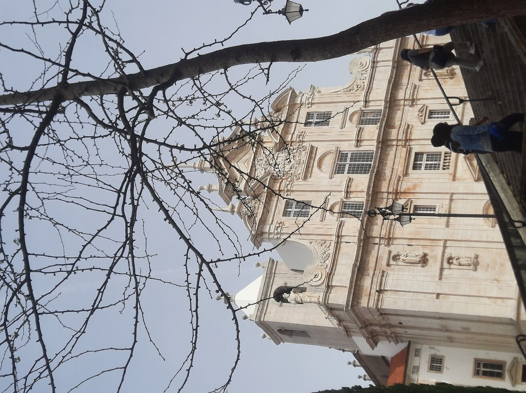 Se Nova Catedral de Coimbra景点图片