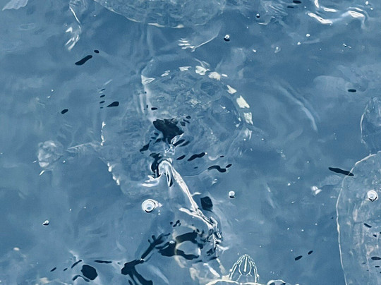 The Shell Factory-迈尔斯堡必去景点