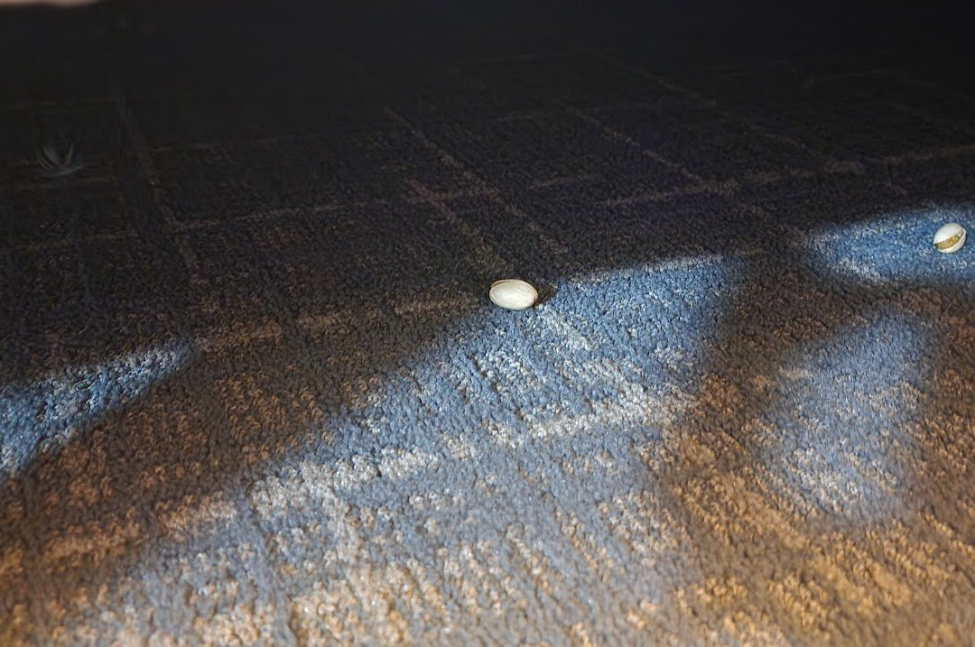 Residence Inn by Marriott Charleston Riverview主图