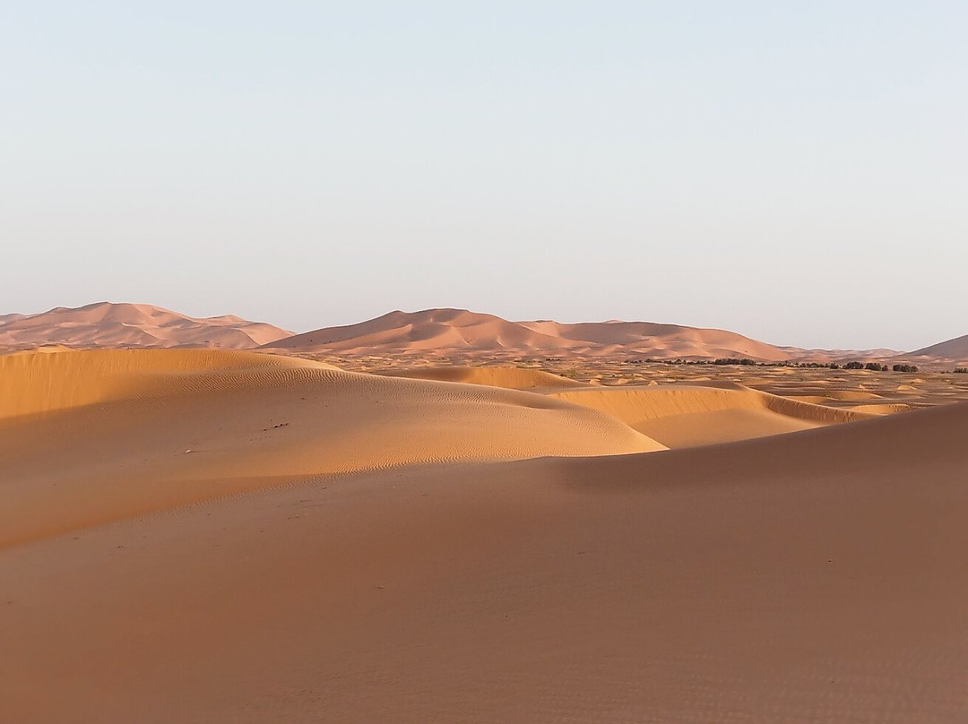 Sahara Dream Tours景点图片