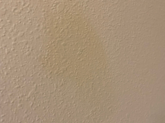 Best Western Plus Peoria主图