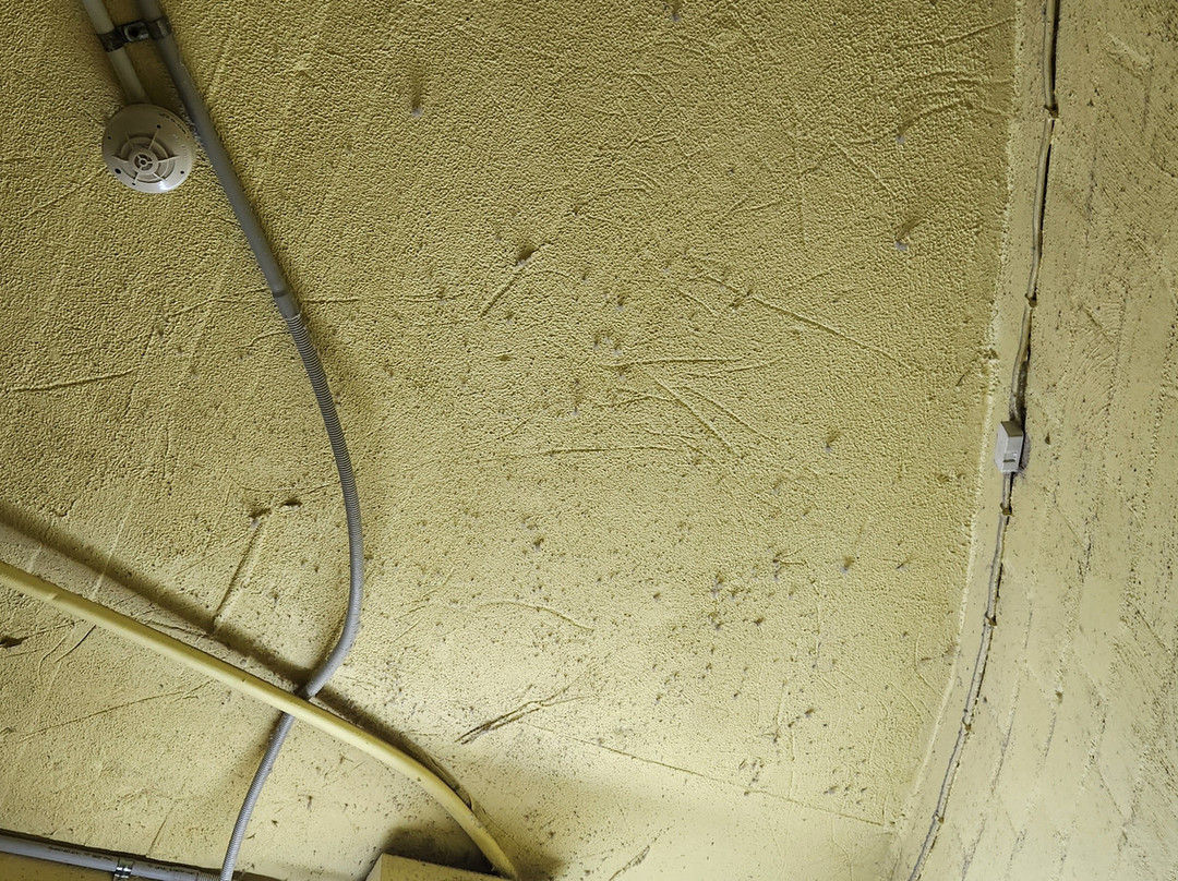 Atlantic Tower Motor Inn主图