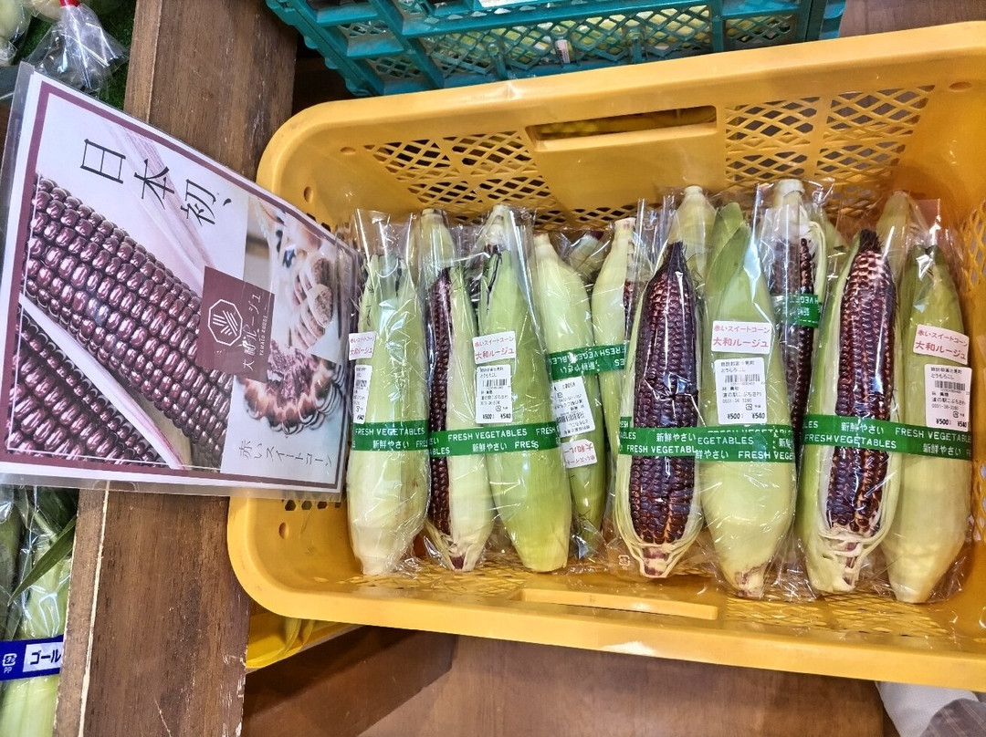 Michi-no-Eki  Kobuchisawa-北斗市必去景点