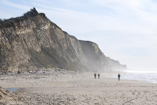 San Gregorio State Beach-San Gregorio必去景点