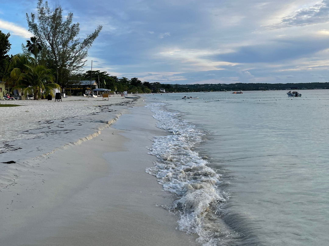 Jads Island Tours景点图片