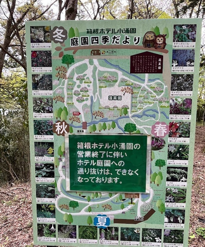 Hakone Kowakien Horai Garden景点图片