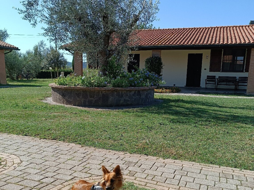 Agriturismo Gli Etruschi主图