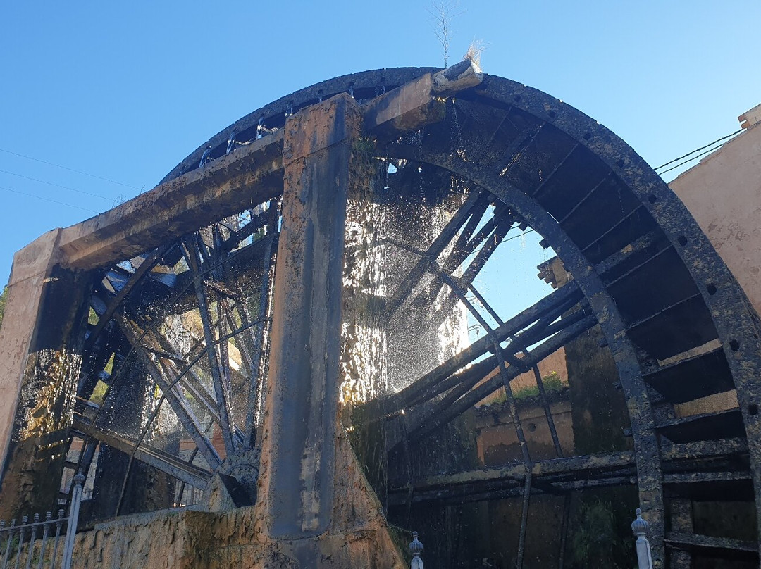 Noria Grande de Abarán