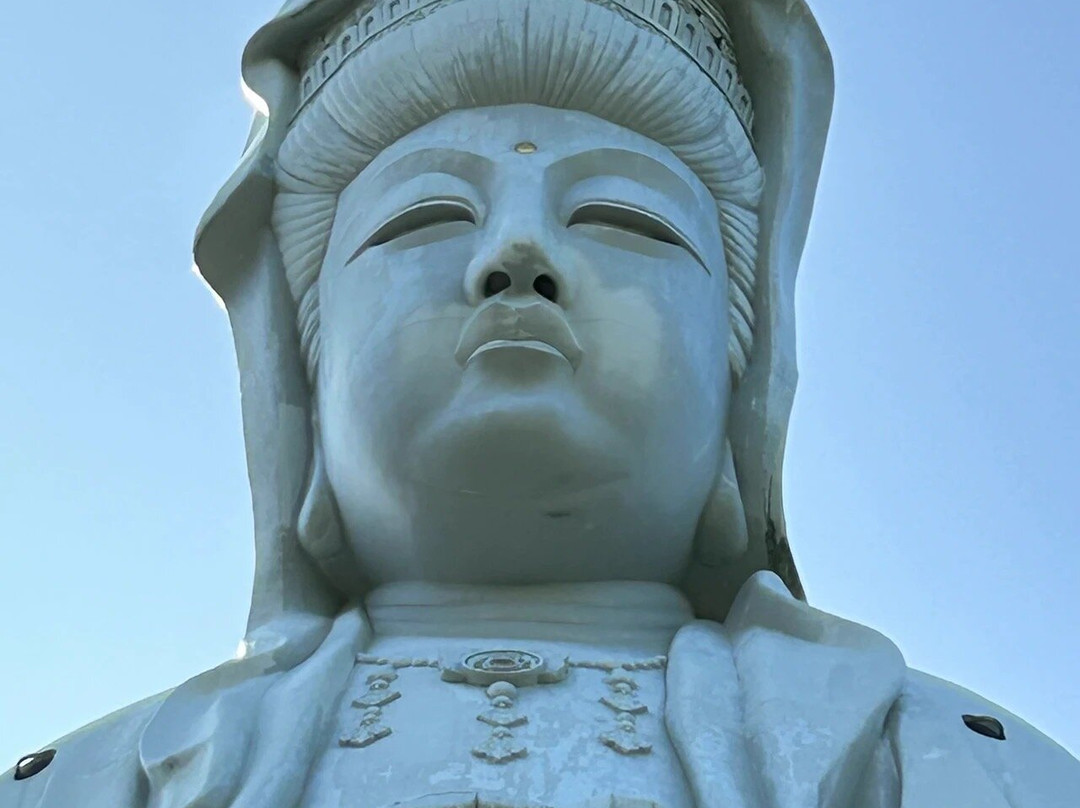 Takasakibyakue Daikannon景点图片