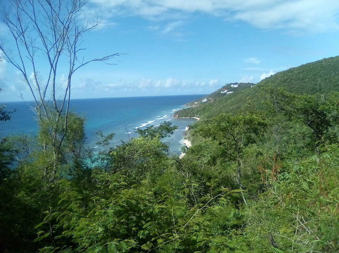 L’Esperance Trail-维尔京群岛国家公园必去景点