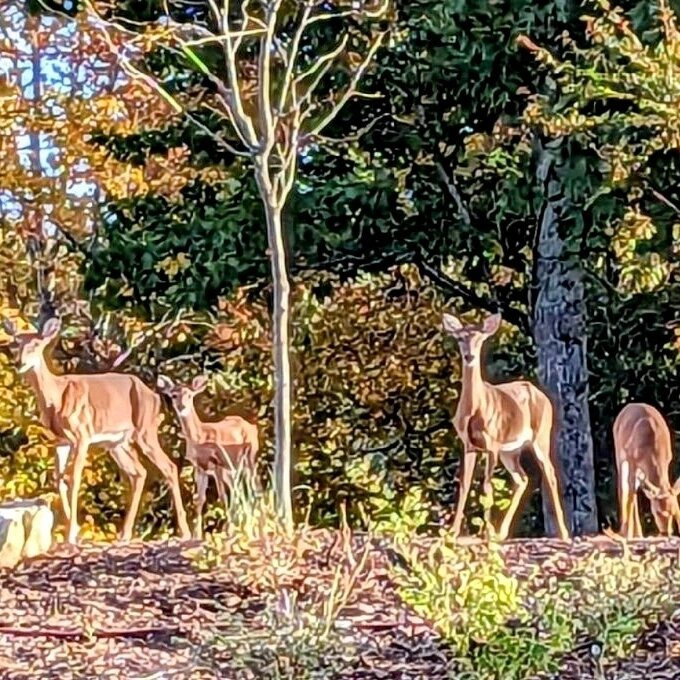 Riverside Bed & Breakfast主图