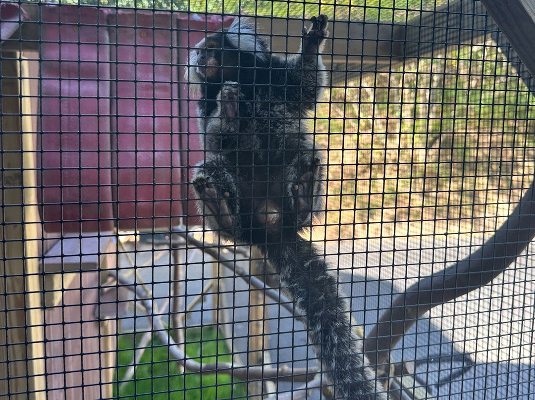 Little Ponderosa Zoo-Clinton必去景点