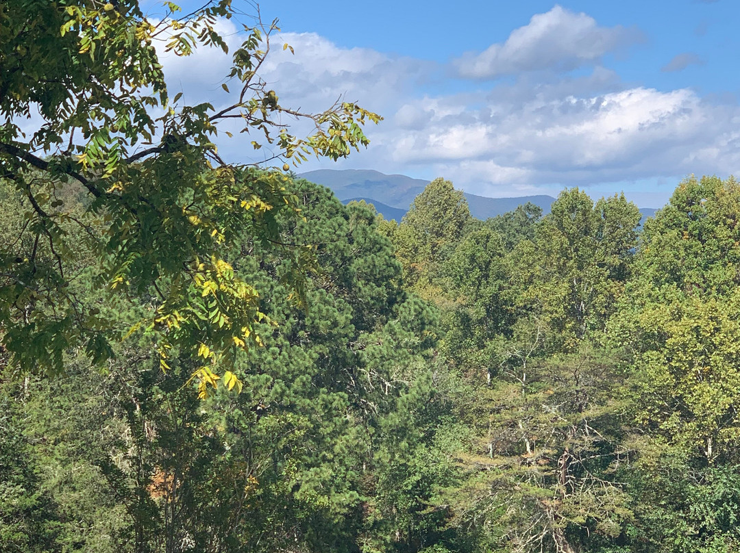 The Sautee Inn Bed and Breakfast主图