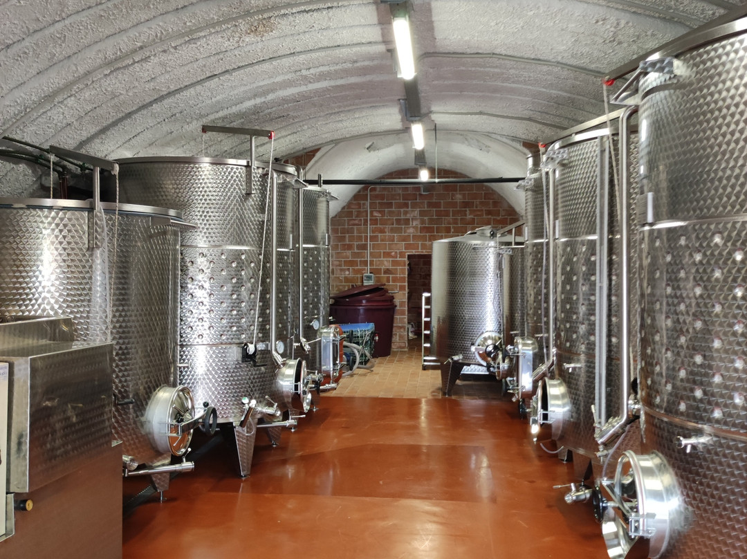 Abaia Winery & Vineyard景点图片