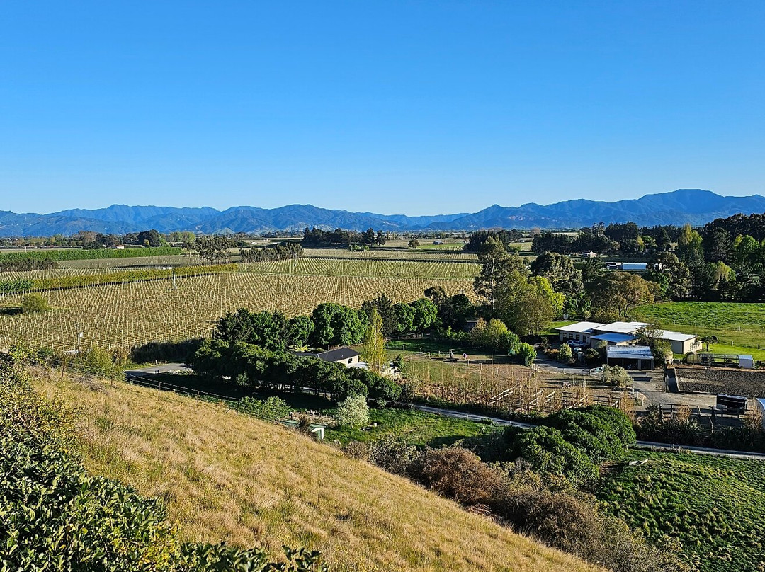 Mountainview Villa Luxury Lodge主图