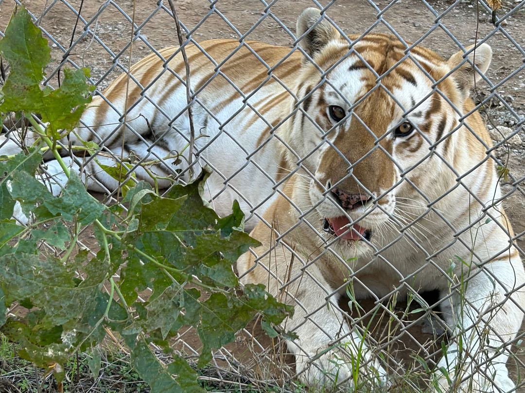 Center for Animal Research & Education-Bridgeport必去景点
